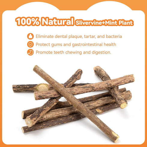5 Pack Silvervine Sticks for Cats, Natural Cat Chew Toys for Teeth Cleaning, Kitten Teething Toys for Indoor Cats