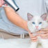 Pet Grooming Glove - Gentle Deshedding Brush Glove for Daily Care and Traveling - Perfect for Long & Short Fur