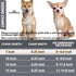 Dog Collar and Cat Chain Necklace, Stainless Steel Adjustable 18K Silver Heart-Shaped Necklace for Small Pets (Sliver,