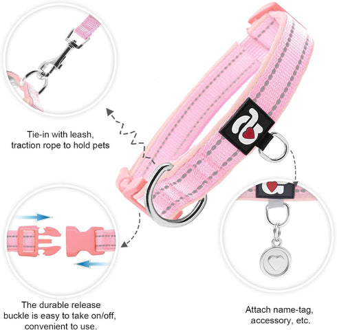 azuza 2 Pack Neoprene Padded Dog Collar for Small Dogs, Reflective Adjustable Safe and Comfy Collars, Purple/Pink, XS