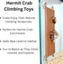 (2-Pack) Hermit Crab Climbing Ladders | Hermit Crab Tank Enrichment Decor | Decoration Accessories Supplies Toys