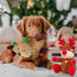 2 Pack Christmas Squeaky Plush Dog Toys for Small Medium Dogs, Durable and Indestructible Dog Toys,Stuffed Squeaky Toys for Dogs Puppy Toys Include Two Color Cute Elk