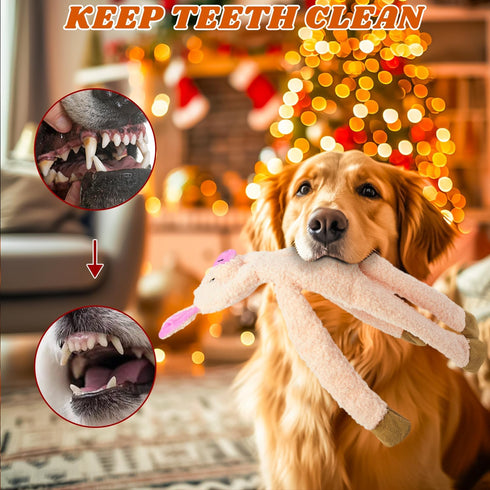 3 Pack No Stuffing Dog Toys Crinkle Squeaky Interactive Plush Dog Toy, not for Aggressive Chewers, to Keep Them