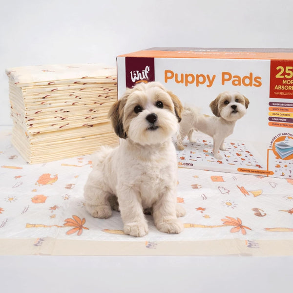 WUF HOUSE WUFHOUSE Potty Pads for Dogs - Extra Large with 5-Layer Absorbency, Leak