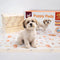 WUF HOUSE WUFHOUSE Potty Pads for Dogs - Extra Large with 5-Layer Absorbency, Leak