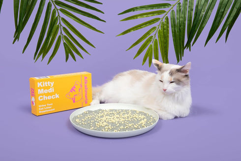 Home,100% 210g/7.4oz) 100% Kitty-Medi-Check Cat Urine Health Test Kit, Easy Monitoring at Eco-Friendly - (Alkalinuria