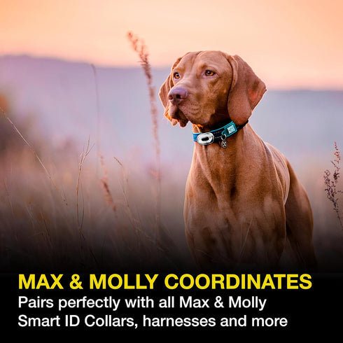 Max & Molly Rechargeable LED Dog Collar Light - Waterproof Safety Light for Night Walking, Running, Biking