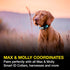 Max & Molly Rechargeable LED Dog Collar Light - Waterproof Safety Light for Night Walking, Running, Biking