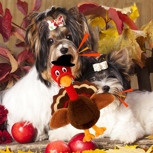 Squeaky Dog Toys, Turkey Squeaky Toys with Cotton Rope and Crinkle, Gifts for Small Medium and Large Dogs