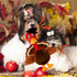 Squeaky Dog Toys, Turkey Squeaky Toys with Cotton Rope and Crinkle, Gifts for Small Medium and Large Dogs