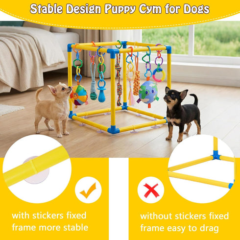 8 Puppy Play Gym with Hanging Toys, Small Dogs Indoor Jungle Playground, PVC Frame with Suction Cups Interactive