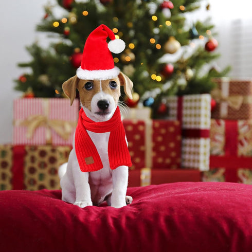 Rypet Dog Santa Hat and Scarf - Christmas Costumes for Small to Medium Dogs and Cats