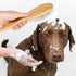 Stainless Steel Pin Dog Brush with Bamboo Handle, Professional Grooming Brush for Long or Short Hair