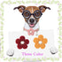 Small Dog Collar with Flower, Adjustable Length Puppy Collar for Girl Dogs, Cute with Bell, Yellow