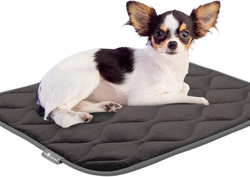 Paw Inspired Washable Padded Crate Mats for Dogs, 23” x 17” Pad, Leakproof Waterproof Bottom, Plush Pet Beds (Gray)