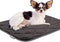 Paw Inspired Washable Padded Crate Mats for Dogs, 23” x 17” Pad, Leakproof Waterproof Bottom, Plush Pet Beds (Gray)