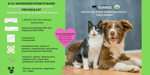 MAXIMUM IMMUNITY: >25% ß-glucan 100% Mushrooms Extracts for Dogs & Cats, Immune & Digestive Support, 250 SERVINGS