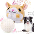Mity Rain Interactive Dog Toys: Automatic Rolling Jumping Vibrating Wiggling Ball, Squeaky Ball with Chewable Plush