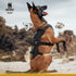 OneTigris Escape Proof Dog Harness, Tactical No Pull Harness for Large Dogs, Multi-Use Support with Handles