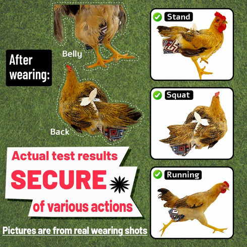 Revoloza 3rd-Upgrade 3D 3D Reusable Chicken Diapers for Indoor Chickens Leak-Proof Pouch with Replaceable Bag