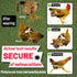 Revoloza 3rd-Upgrade 3D 3D Reusable Chicken Diapers for Indoor Chickens Leak-Proof Pouch with Replaceable Bag