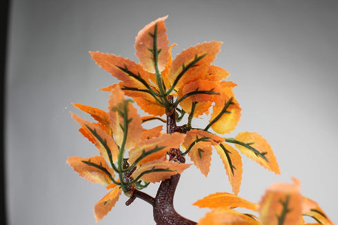 Penn-PLAX Deco-Replicas Bonsai Tree Aquarium Decoration – Orange – 8” Height, Safe for Freshwater and Saltwater Fish