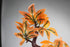 Penn-PLAX Deco-Replicas Bonsai Tree Aquarium Decoration – Orange – 8” Height, Safe for Freshwater and Saltwater Fish