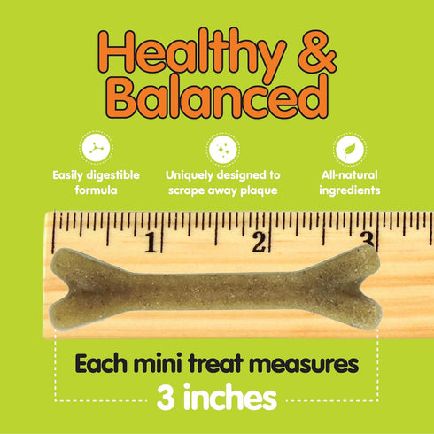 Naturals Super Breath Dental Care Bones for Dogs - 100 Count Mini Treats for Extra Small Dogs, Made in USA