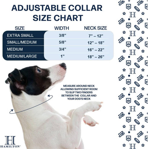 Hamilton Adjustable Nylon Dog Collar, Red, 1" Wide x 18-26" Neck, for Small Medium Large Dogs