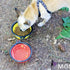 Mr. Peanut's Collapsible Dog Bowls, Set of 3 Colors, Dishwasher Safe BPA Free Silicone Portable Pet Bowls for Travel,