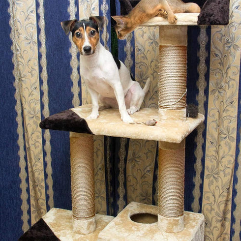 Sisal Rope 6mm for Cat Scratcher - Repair and Replace Cat Scratching Post, DIY Scratching Furniture, Natural Jute 66ft
