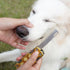 Pet Nail Clipper for Thick Nails - Heavy Duty Dog Toenail Clippers for Large Dogs with Nail File