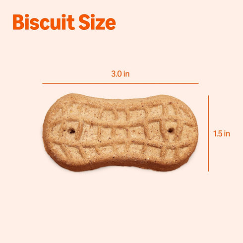 5 lb. Amazon Basics Crunchy Dog Biscuits Peanut Butter Flavor Dog Treats Box