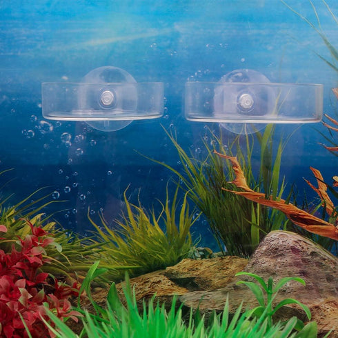 Senzeal 2PCS Shrimp Feeding Dish, Glass Aquarium Fish Tank Reptiles Round Feeder Bowl with Suction Cup