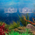 Senzeal 2PCS Shrimp Feeding Dish, Glass Aquarium Fish Tank Reptiles Round Feeder Bowl with Suction Cup