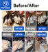 Trimmer PAPIFFEED Dog Nail Grinder with LCD Display Quiet Electric Nail with Dual LED Light, Safe for Black & Thick