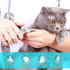 Candure Dog Nail Clippers with Safety Guard, Professional Grooming Pet Nail Clipper