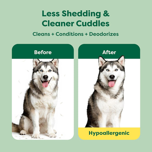 3-in-1, 98.5% 16 oz Earth Rated Deshedding Dog Shampoo, Hypoallergenic Shampoo & Conditioner for Dogs & Puppies