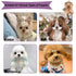 Cloud-Shaped Soft Bristle Puppy Brush for Small Dogs - Yorkie, Shih Tzu, Maltese, and Toy Poodles Grooming Tool