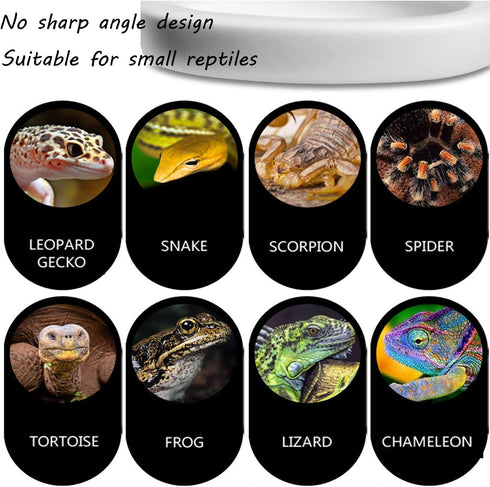 Reptile Worm Feeding Dish Bowls, Gecko Lizard Feeder Dish with 2 Bowls and 1 Feeding Tong, Ceramic Mini Size