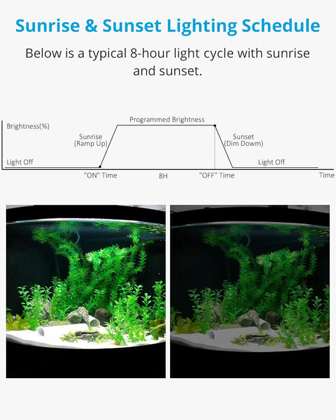 NICREW Aquarium Light Timer & Dimmer, Easy to Program Single Channel Fish Tank Light Controller