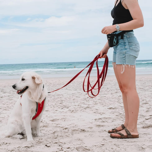 EzyDog Track and Train Premium Dog Leash, 16-Foot Extra Long Lead for Training Your Pup - Red