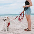 EzyDog Track and Train Premium Dog Leash, 16-Foot Extra Long Lead for Training Your Pup - Red