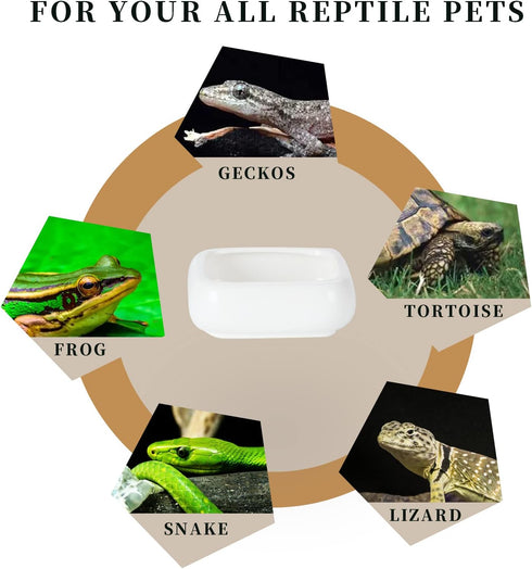Ceramic Square Reptile Food Bowls - 2-Pack Pet Food Dish for Lizards and Small Snakes