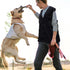 ULTECHNOVO Pet Owner Training Vest, Dog Trainer Cloth with Multi Pockets, Professional Pet Trainers Jacket
