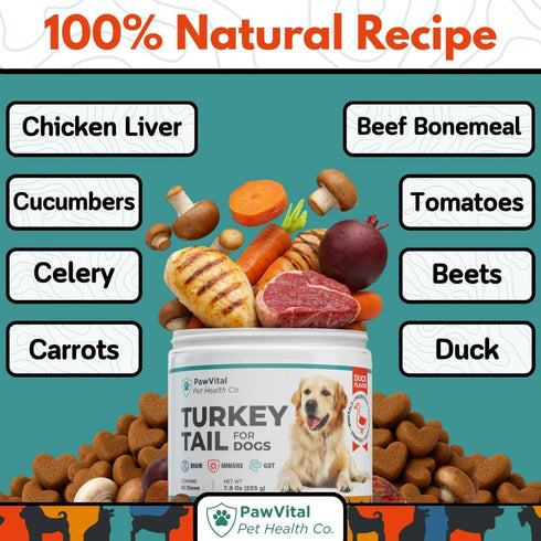 Immune 100% 90 Turkey Tail Mushroom for Dogs Gut Health & Support Supplement Natural Mushroom Blend with Reishi