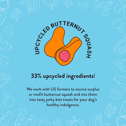 Shameless Pets Jerky Dog Treats, Salmon Loves Butternut, Healthy Chews for Skin & Coat, 1-Pack