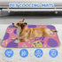 imiBBWQu Summer 27" 22" Cooling Pad Easter Eggs Cooling Bed Mat Washable Pet Stroller Pad Dog Bed Cover Crate Pads