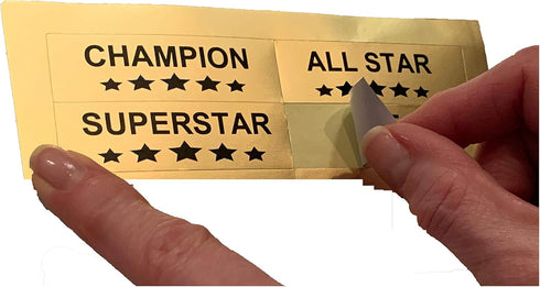 4 Express Medals Dairy Goat Award Trophy Party Favor Gift Prize Including Gold Color Decals to Custom Personalize The