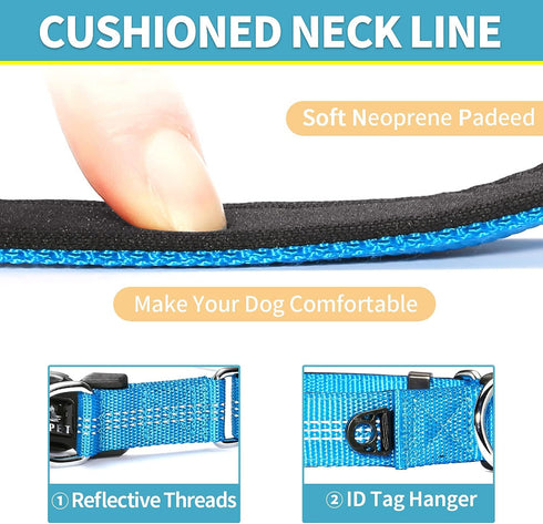 BAAPET Comfortable Dog Collar with Double Security Dual D-Ring and ID Tag Hanger for Small, Medium, Large Dogs (XS -